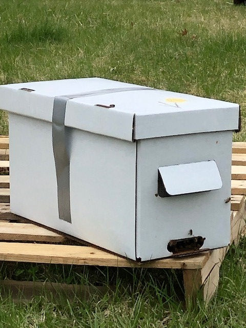 2025 Spring Nucleus Colony