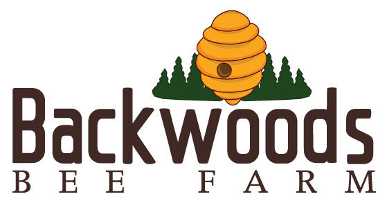 2026 Beeswax and Candle Workshop